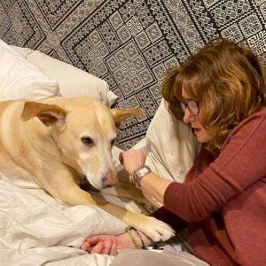 Meet your Posher, Nina